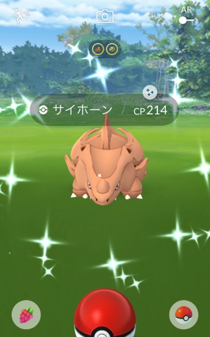 ポケモンgo コミュニティ デイ サイホーン ポメと夫婦の気ままな日常